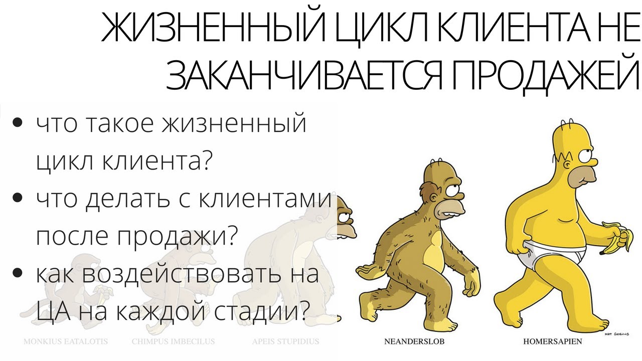 Жизненный цикл клиента (Lifecycle)